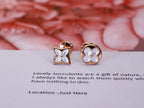 ¡®Loco¡¯STAR AND SUN PINK GOLD MOP STUD EARRINGS